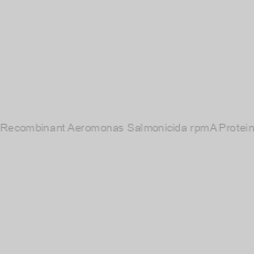 Image of Recombinant Aeromonas Salmonicida rpmA Protein